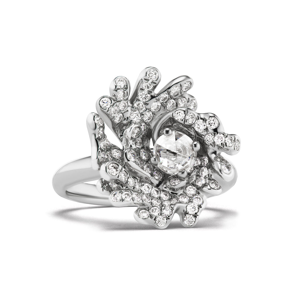 OCEAN SPRAY RING